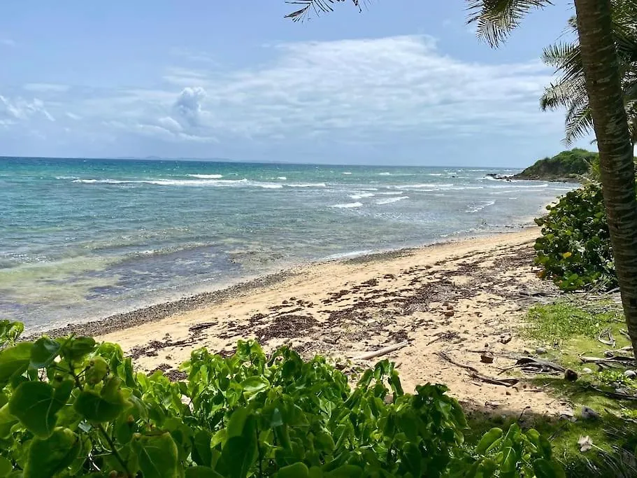 Holiday home Caracas Beach Front And Pool-Casa Prima Santa Maria  Puerto Rico