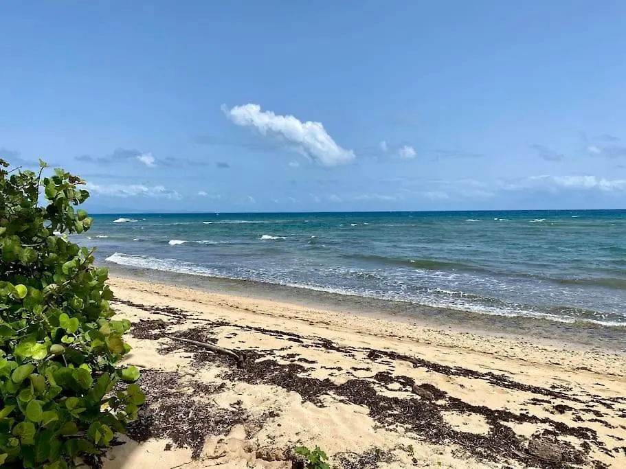Caracas Beach Front And Pool-Casa Prima Santa Maria  Santa Maria (Vieques)
